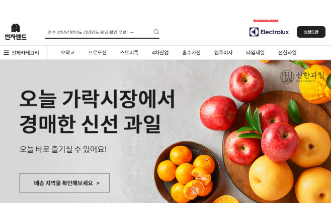 전자랜드 홈페이지 캡처