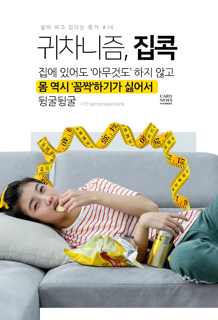 카드 뉴스 이미지