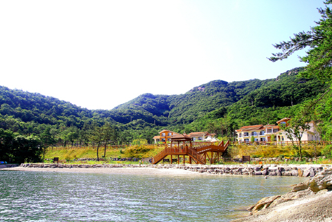 국립변산자연휴양림의 여름 전경