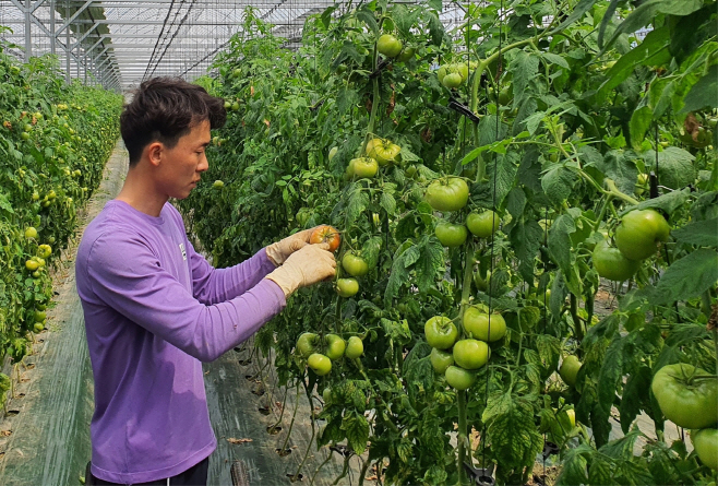 1. 경주시, 농촌 미래 이끌 유능한 청년농업인 키운다