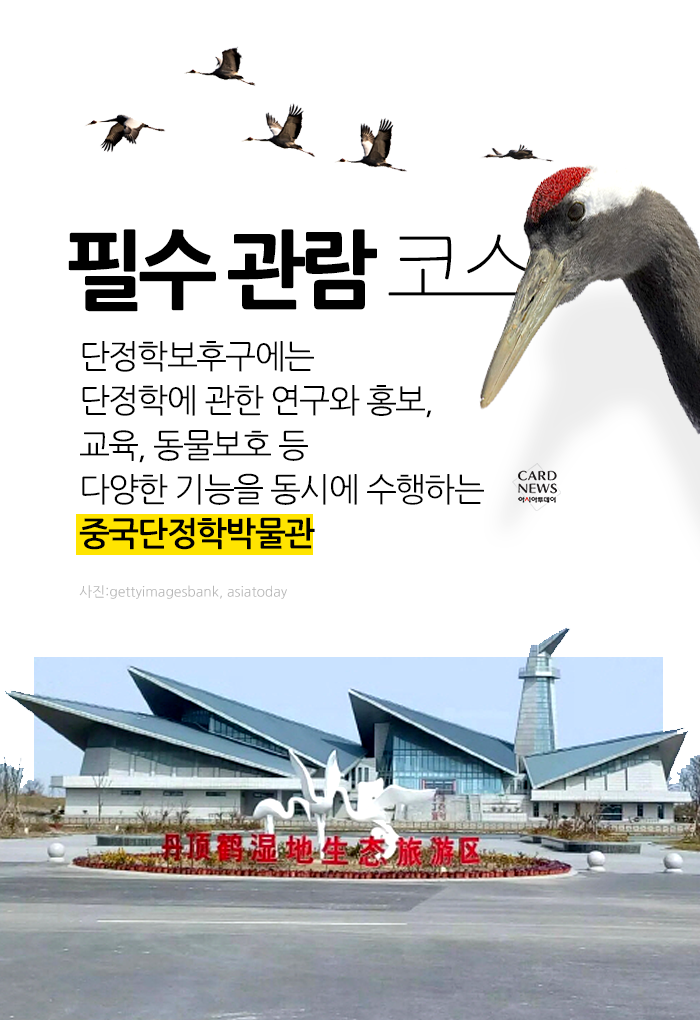 카드 뉴스 이미지