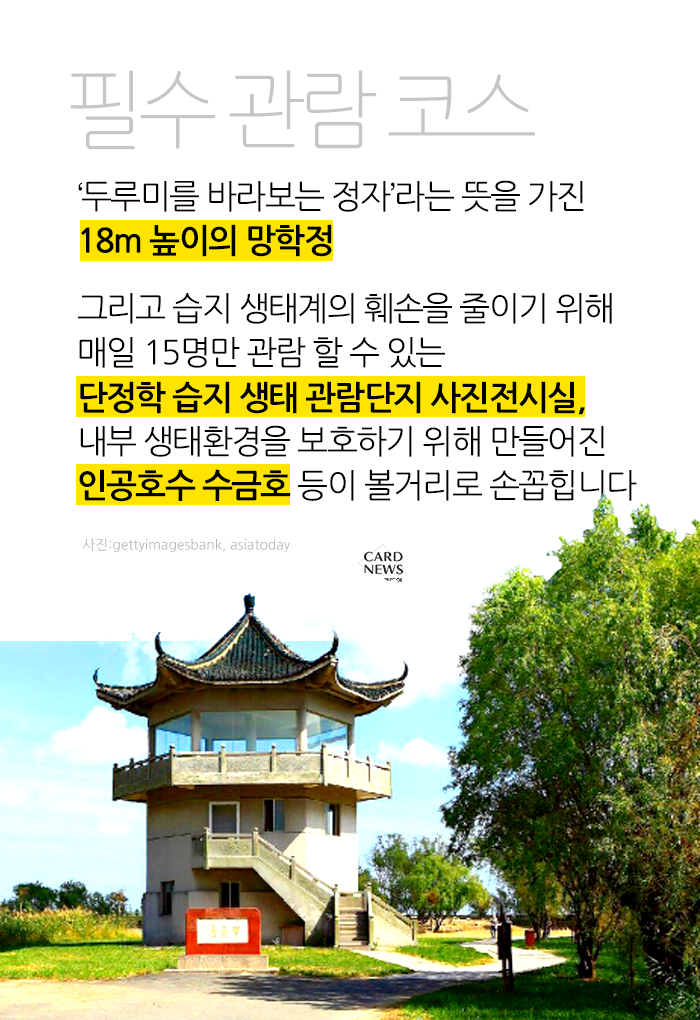카드 뉴스 이미지