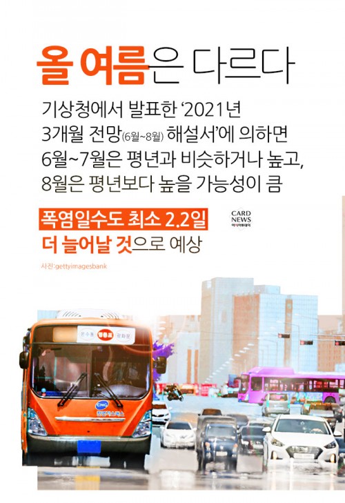 카드 뉴스 이미지