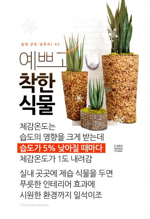 카드 뉴스 이미지