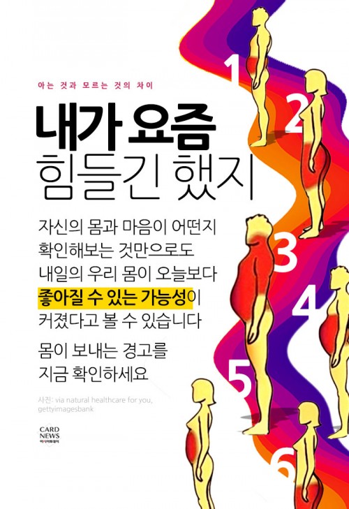 카드 뉴스 이미지