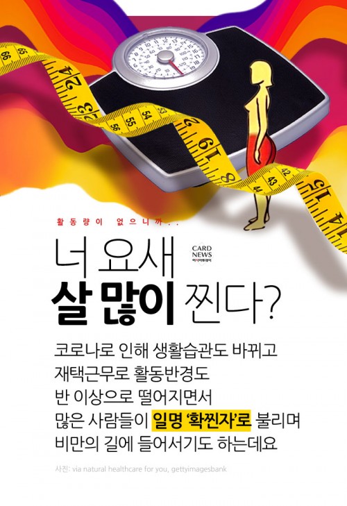 카드 뉴스 이미지