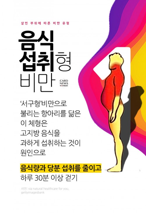 카드 뉴스 이미지