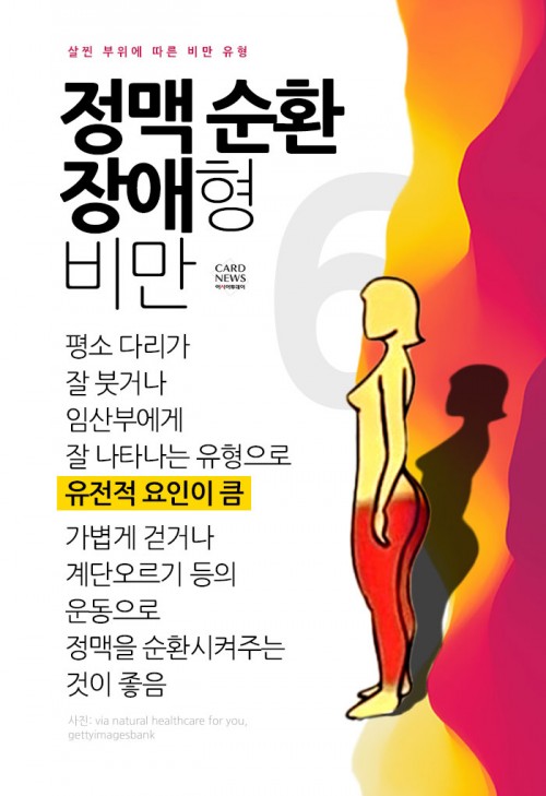카드 뉴스 이미지