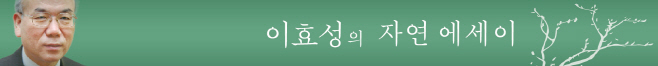 이효성의 자연 에세이 최종 컷