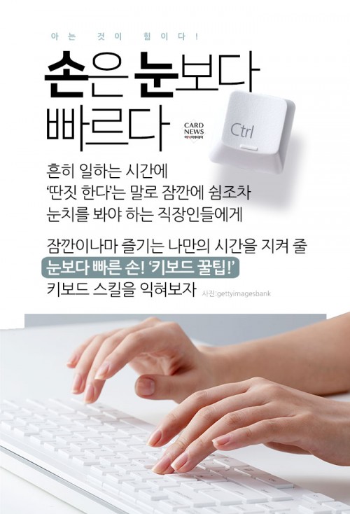 카드 뉴스 이미지