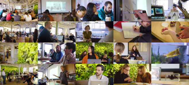 현대차그룹과 RISD 구성원