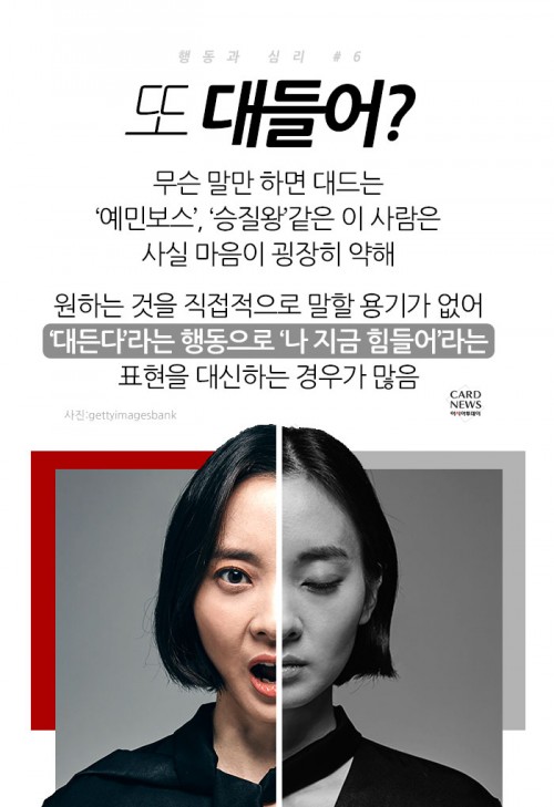 카드 뉴스 이미지
