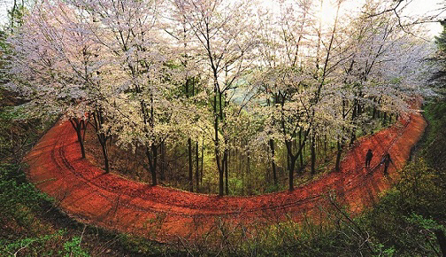 대전시