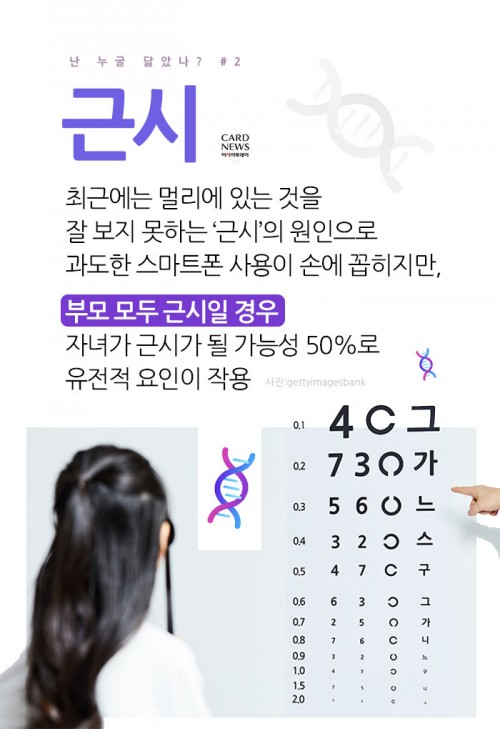 카드 뉴스 이미지