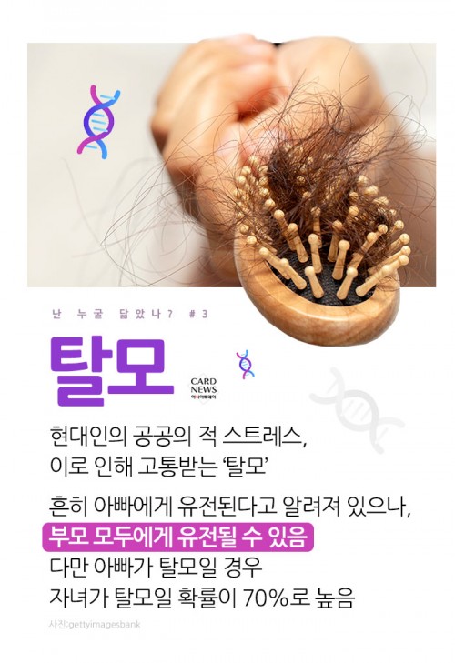 카드 뉴스 이미지