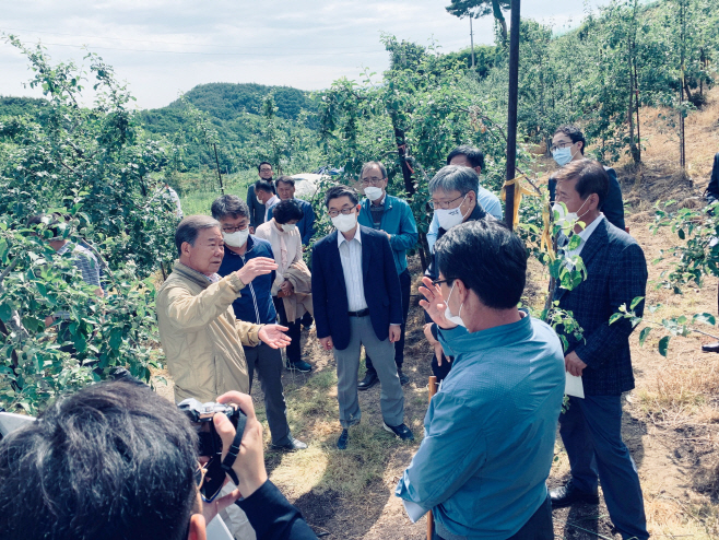 영주 이상저온 피해