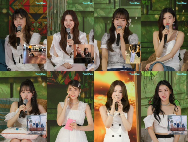 위키미키