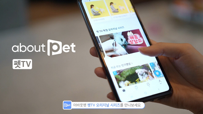 어바웃펫 홍보 이미지