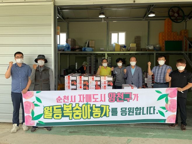 양천구 월등 복숭아 농가 지원