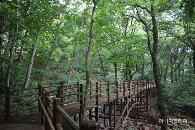 숲길전경2