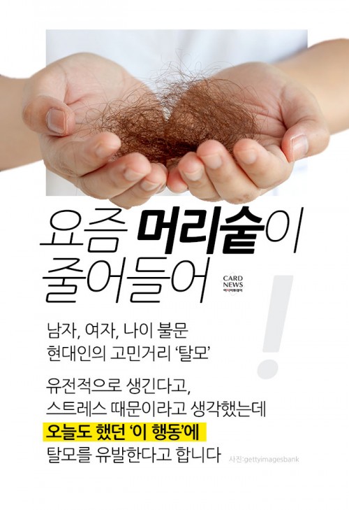 카드 뉴스 이미지