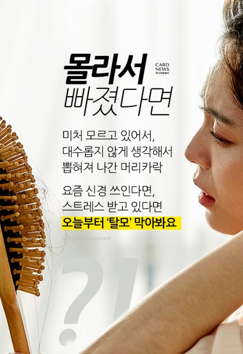 카드 뉴스 이미지