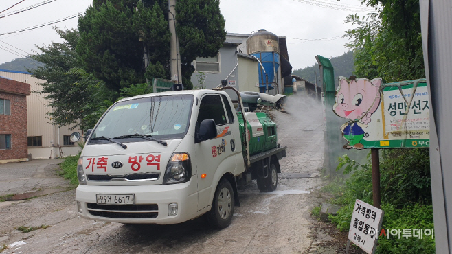 돼지열병
