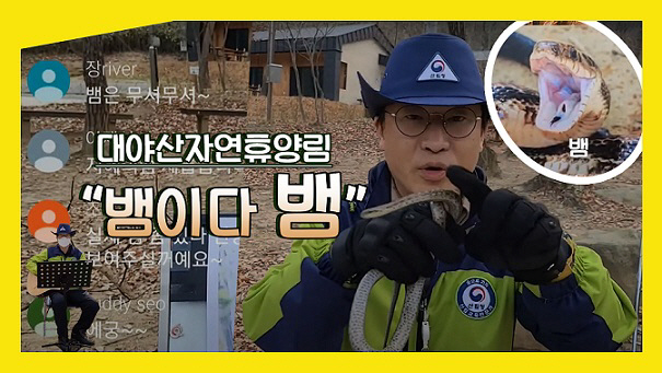 휴양림