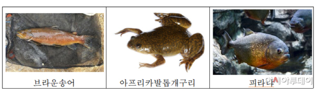 화면 캡처 2021-08-30 140341