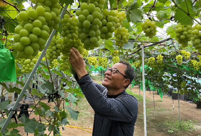 강진군