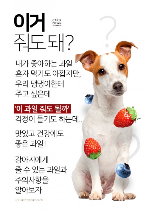 카드 뉴스 이미지