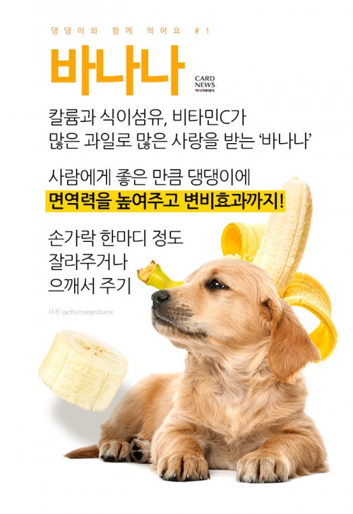 카드 뉴스 이미지
