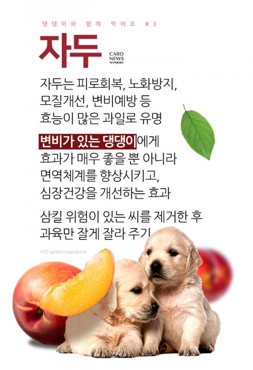 카드 뉴스 이미지