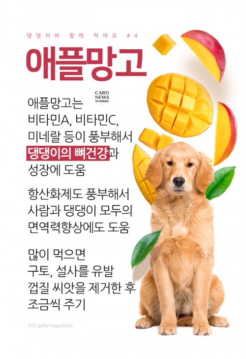카드 뉴스 이미지