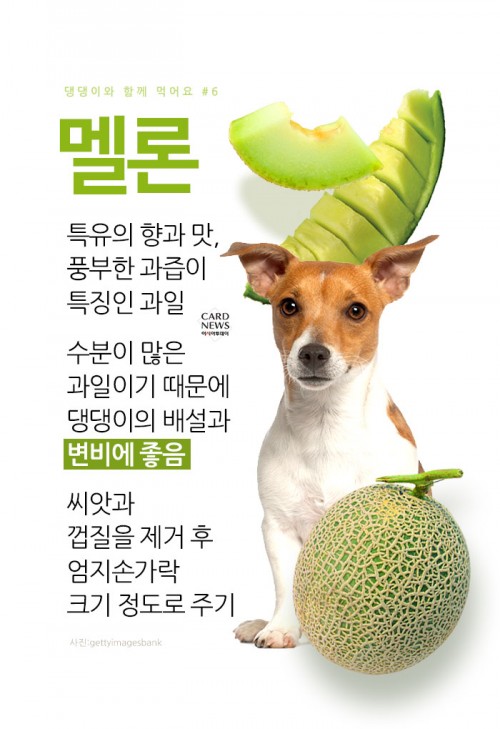 카드 뉴스 이미지