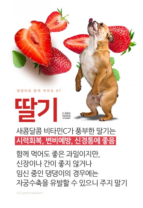 카드 뉴스 이미지