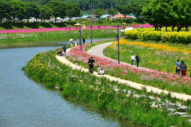 장성 다시 보기 시범사업을 운영 장성 황룡강
