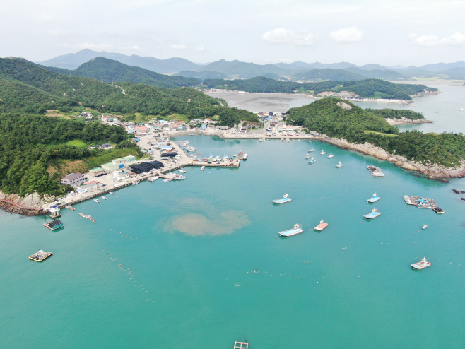 진도군