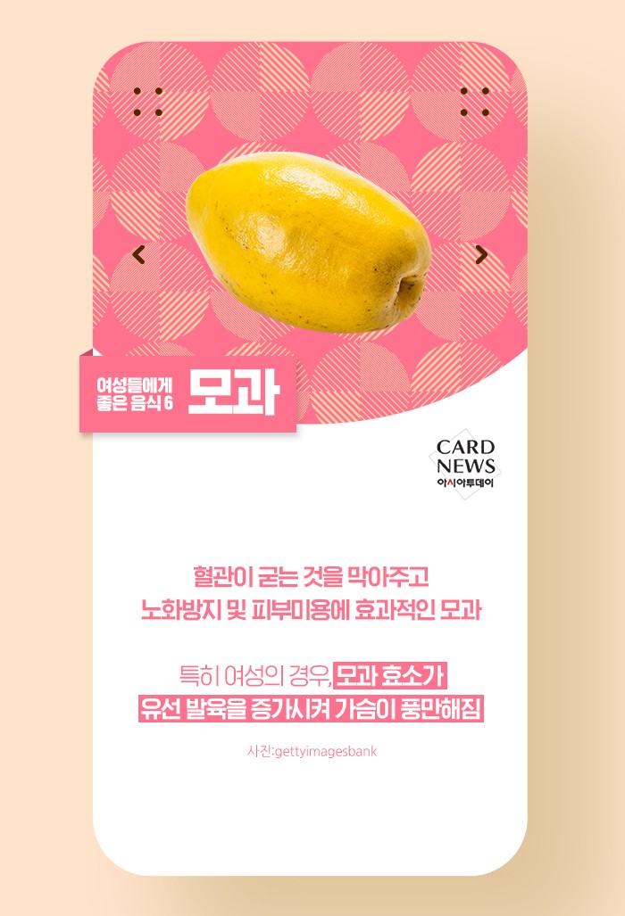 카드 뉴스 이미지