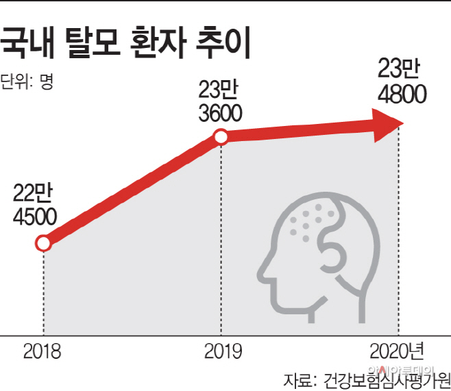 국내 탈모 환자 추이