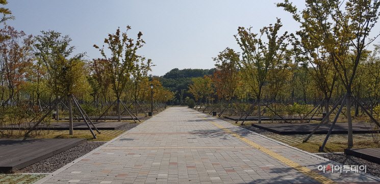 210910 관련 사진 2(청라 해변공원 캠핑 사이트 모습)