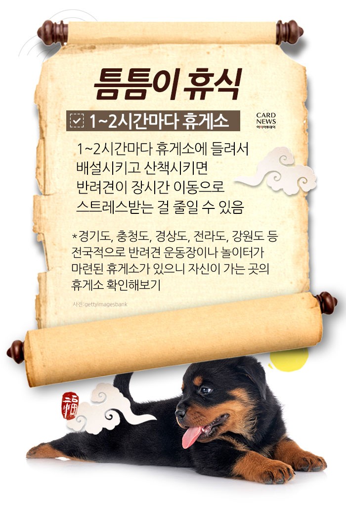 카드 뉴스 이미지