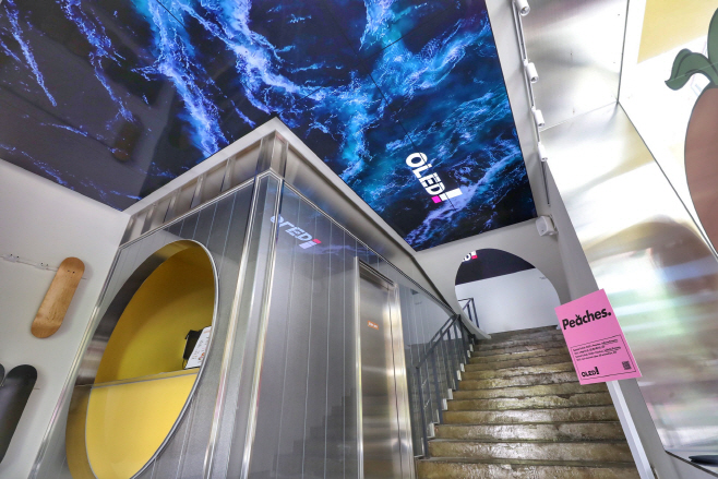 사진1_OLED 디지털 아트
