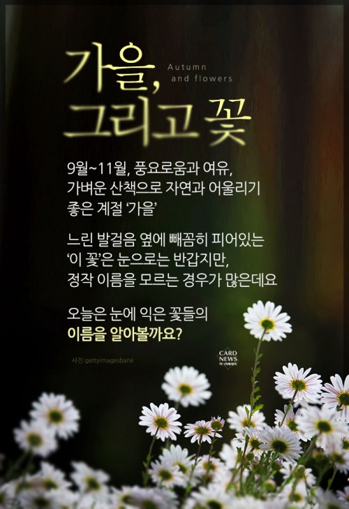 카드 뉴스 이미지