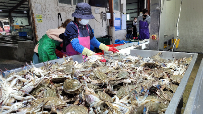 진도군