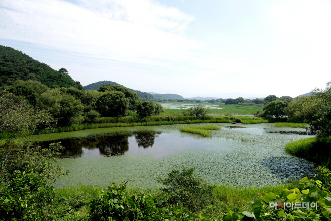 안녕 자연의 창녕에서 특별한 한달나기 2차 참가자 모집(2)