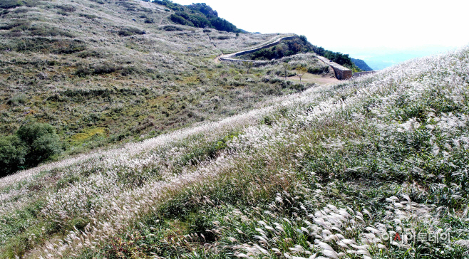 안녕 자연의 창녕에서 특별한 한달나기 2차 참가자 모집(3) (1)