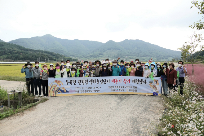 창녕군 부곡친환경생태농업단지 메뚜기 잡기 체험(1)