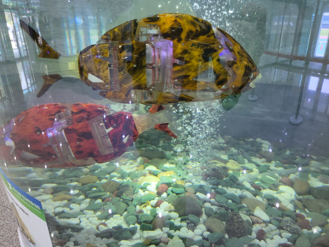 (2-2)물고기_로봇_미로1