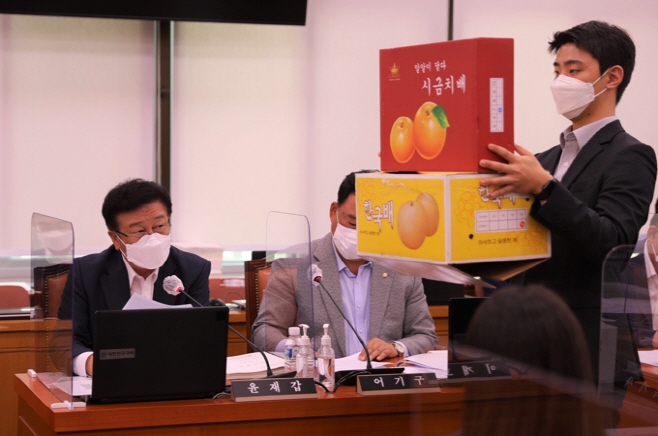 중국산 짝퉁 과일